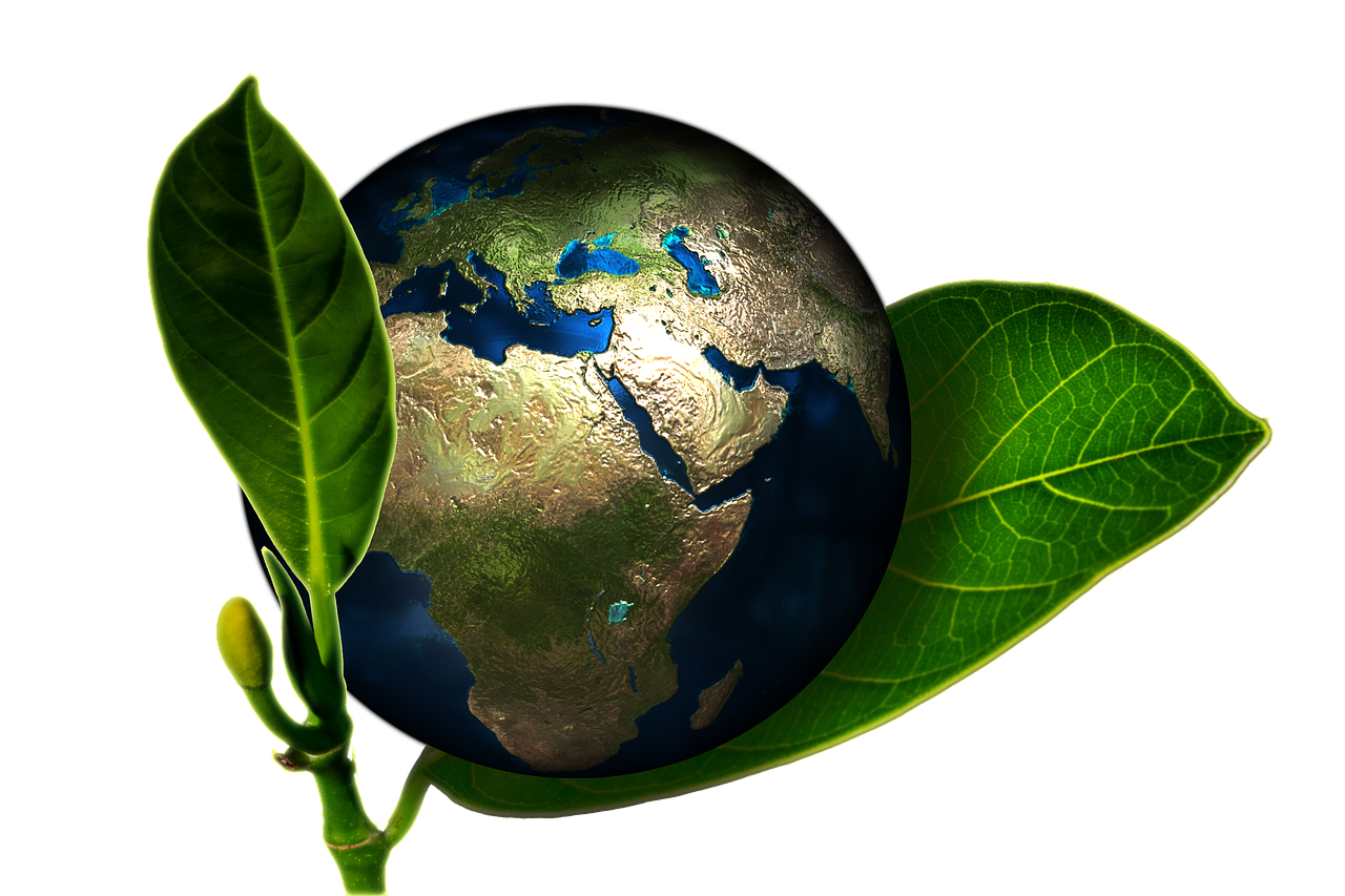 image of plant leaves holding earth