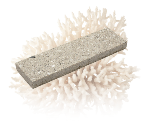 Biomason on Coral